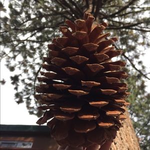 Meet your Posher, Jewel